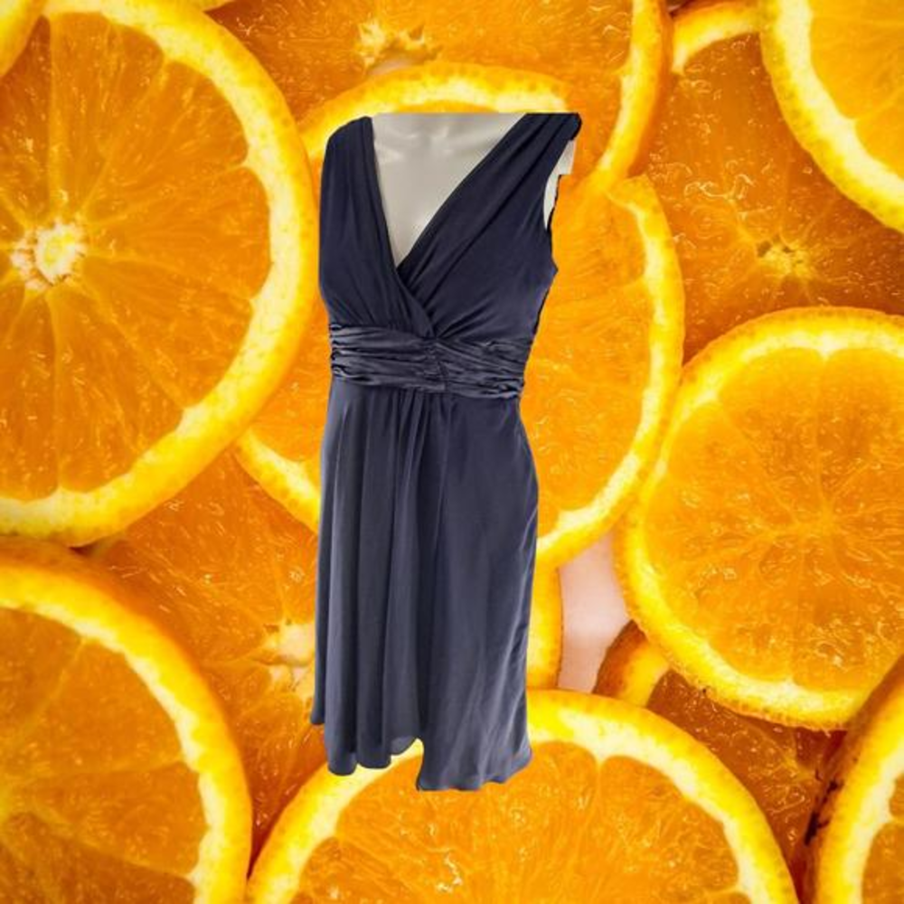 Jone New York Sleeveless Blue V Neck Dress Size 4P